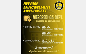 REPRISE MINIBASKET 