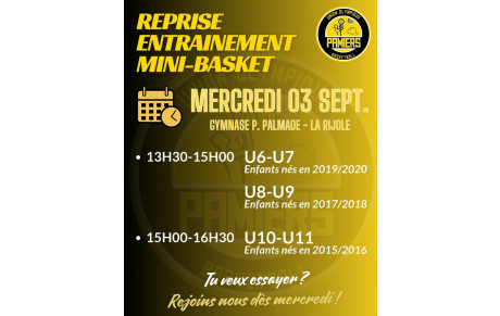 REPRISE MINIBASKET 